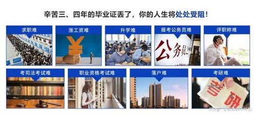 2025年北京檔案存放服務指南 升職貓全程跟進，助力信息咨詢